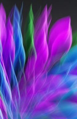 công bằng Sodo